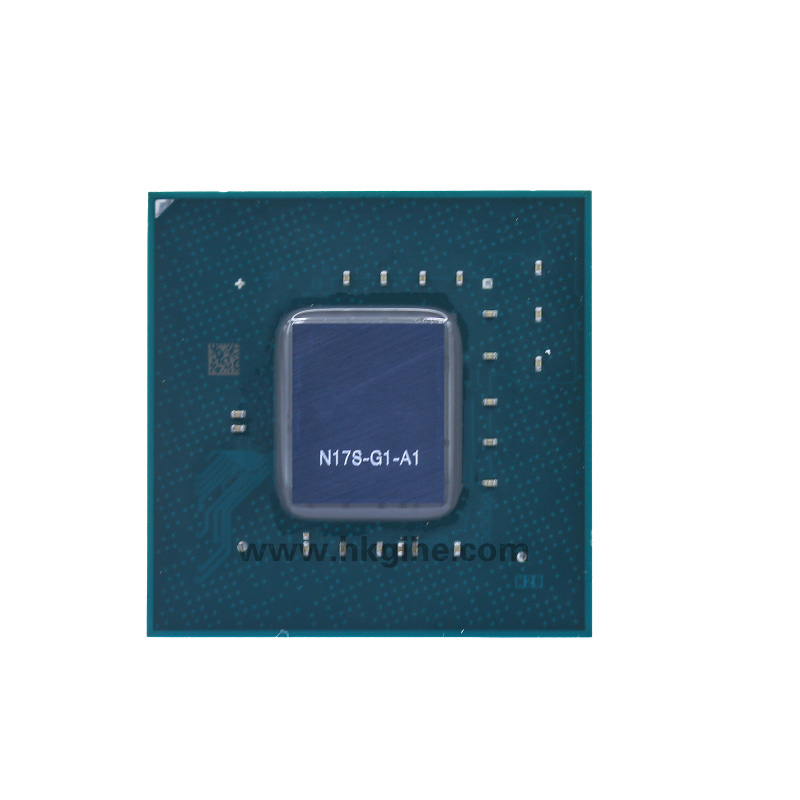 N17S-G1-A1